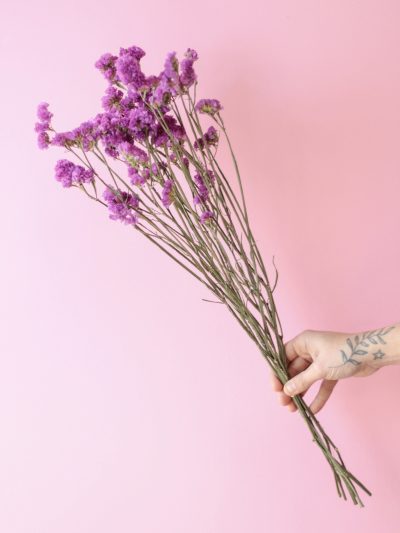 Estatice Rosado
