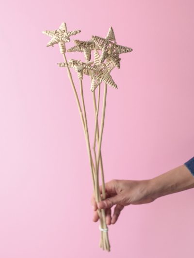 Estrella de Mimbre