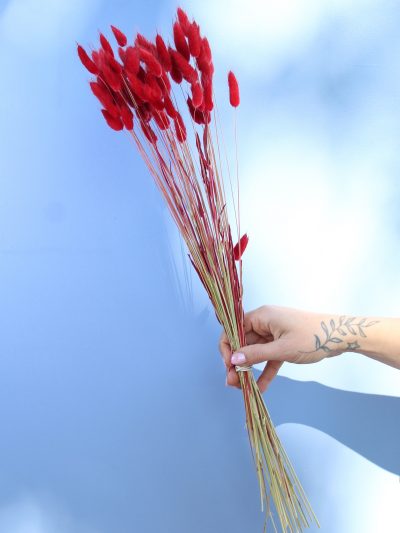 Bunny Tail Rojo