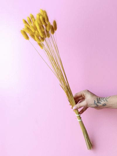 Bunny Tail Amarillo