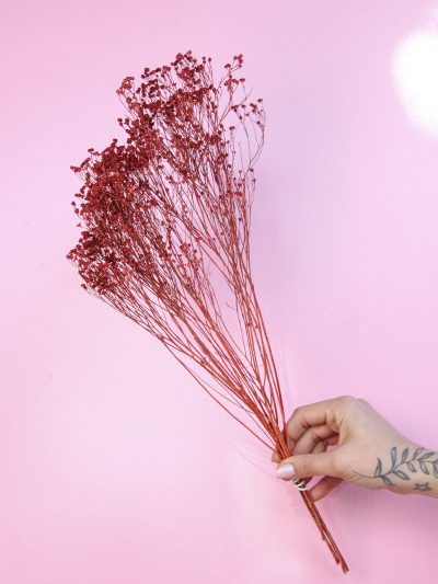 Retamo Rojo