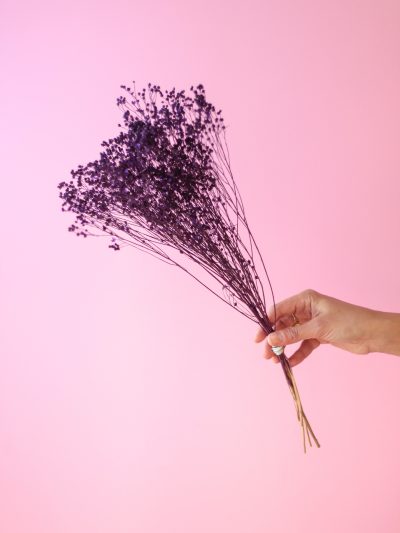 Retamo Morado