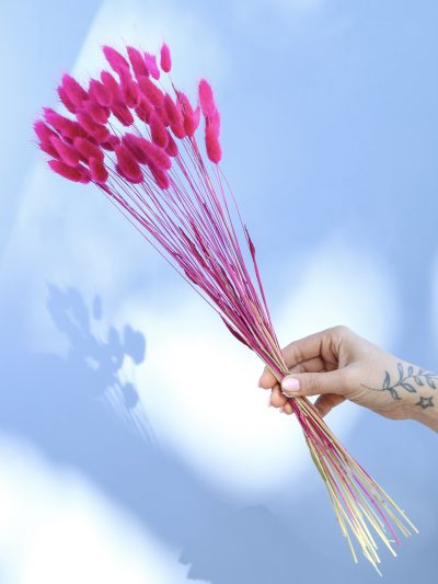 Bunny Tail Fucsia